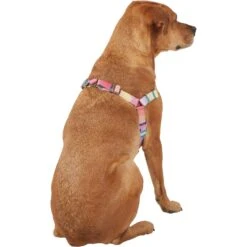 Frisco Pink Ombre Style Dog Harness 8 Frisco Pink Ombre Style Dog Harness -Paws Joy Outlet Store 324537 PT3. AC SS1800 V1642519146