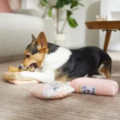 Frisco Mother's Day Gifts Plush Squeaky Dog Toy, 3 Count 5 Frisco Mother's Day Gifts Plush Squeaky Dog Toy, 3 Count -Paws Joy Outlet Store 327035 PT3. AC SS1800 V1646947993