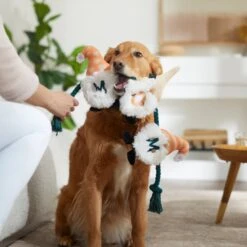 Frisco Mother's Day Gnomes Plush With Rope Squeaky Dog Toy -Paws Joy Outlet Store 327037 PT3. AC SS1800 V1646948102