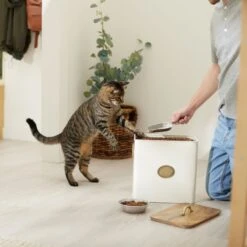 Frisco Premium Airtight Dog & Cat Food Storage Canister With Scoop -Paws Joy Outlet Store 331486 PT3. AC SS1800 V1657656891