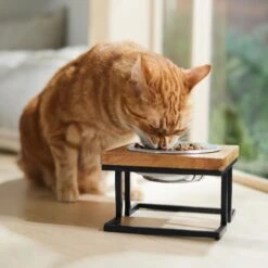 Frisco Premium Wood Elevated Single Dog & Cat Bowl -Paws Joy Outlet Store 331493 PT3. AC SS1800 V1657656892