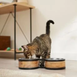 Frisco Premium Elevated Bone Design Stainless Steel Double Diner Dog & Cat Bowl -Paws Joy Outlet Store 331499 PT3. AC SS1800 V1657656892