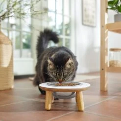 Frisco Premium Round Shape Elevated Single Dog & Cat Bowl -Paws Joy Outlet Store 331502 PT3. AC SS1800 V1657656892