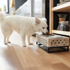 Frisco Premium Wood Elevated Stainless Steel Double Diner Dog & Cat Bowl, 3 Cup -Paws Joy Outlet Store 331507 PT2. AC SS1800 V1657656894