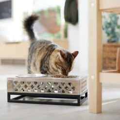 Frisco Premium Wood Elevated Stainless Steel Double Diner Dog & Cat Bowl, 3 Cup -Paws Joy Outlet Store 331507 PT3. AC SS1800 V1657656894