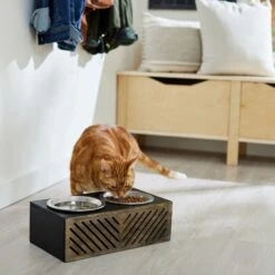 Frisco Premium Wood Elevated Stainless Steel Double Diner Dog & Cat Bowl, Black, 3 Cup -Paws Joy Outlet Store 331509 PT3. AC SS1800 V1657656894