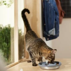 Frisco Silicone Stainless Paw Steel Slow Feeder Dog & Cat Bowl -Paws Joy Outlet Store 331528 PT3. AC SS1800 V1657656874