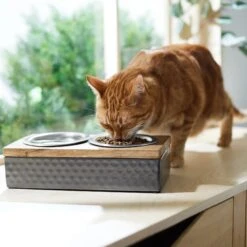Frisco Premium Stainless Steel Double Diner Dog & Cat Bowl, Black 10 Frisco Premium Stainless Steel Double Diner Dog & Cat Bowl, Black -Paws Joy Outlet Store 331532 PT3. AC SS1800 V1657656874