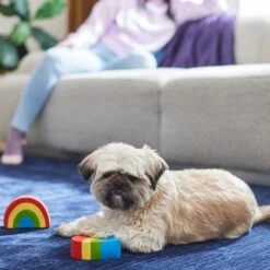 Frisco Pride Rainbow & Heart Latex Squeaky Dog Toy, 2 Count -Paws Joy Outlet Store 331632 PT3. AC SS1800 V1647355825