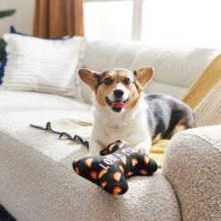 Frisco Pride Proud Pup Bone Plush Squeaky Dog Toy -Paws Joy Outlet Store 331638 PT3. AC SS1800 V1647355940