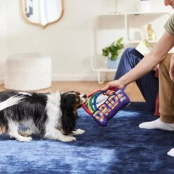 Frisco Pride Rainbow Plush With Rope Squeaky Dog Toy -Paws Joy Outlet Store 331653 PT3. AC SS1800 V1647356026