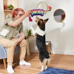 Frisco Pride Plush With Rope Squeaky Dog Toy 5 Frisco Pride Plush With Rope Squeaky Dog Toy -Paws Joy Outlet Store 331661 PT3. AC SS1800 V1647356002