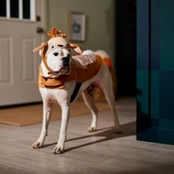 Frisco Deer Dog & Cat Costume -Paws Joy Outlet Store 334874 PT7. AC SS1800 V1657720507