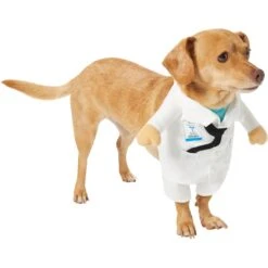 Frisco Front Walking Doctor Dog & Cat Costume -Paws Joy Outlet Store 334900 PT3. AC SS1800 V1658344549