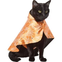 Frisco Spider Webbed Dog & Cat Costume Cape -Paws Joy Outlet Store 334972 PT2. AC SS1800 V1658348259