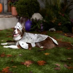 Frisco Seal Dog & Cat Costume 12 Frisco Seal Dog & Cat Costume -Paws Joy Outlet Store 334983 PT7. AC SS1800 V1657730462