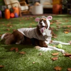 Frisco Hedgehog Dog & Cat Costume -Paws Joy Outlet Store 334990 PT7. AC SS1800 V1657732628