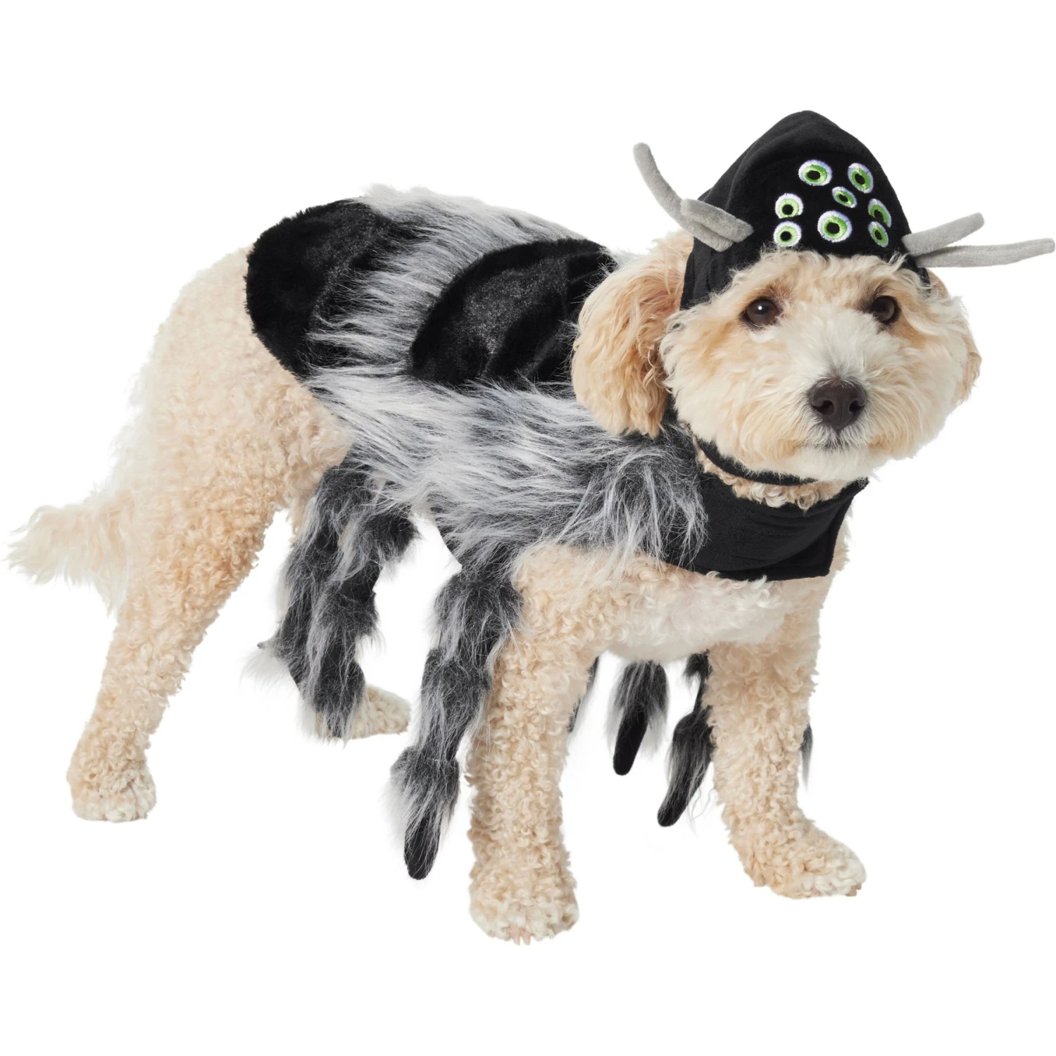 Frisco Spider Dog & Cat Costume 1 Frisco Spider Dog & Cat Costume