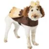 Frisco Owl Dog & Cat Costume
