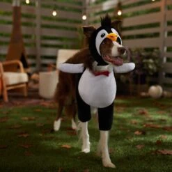 Frisco Front Walking Penguin Dog & Cat Costume -Paws Joy Outlet Store 335062 PT7. AC SS1800 V1657718971
