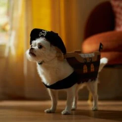 Frisco Pirate Ship Dog & Cat Costume -Paws Joy Outlet Store 335078 PT7. AC SS1800 V1657656881