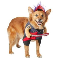 Frisco Front Walking Punk Rocker Dog & Cat Costume 11 Frisco Front Walking Punk Rocker Dog & Cat Costume -Paws Joy Outlet Store 335087 PT3. AC SS1800 V1658346323