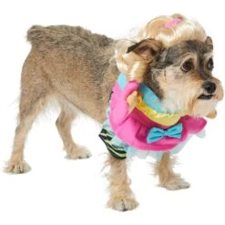 Frisco Front Walking Workout Girl Dog & Cat Costume -Paws Joy Outlet Store 335111 PT3. AC SS1800 V1659027675