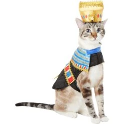 Frisco Royal Pharoah Dog & Cat Costume -Paws Joy Outlet Store 335114 PT2. AC SS1800 V1658349300