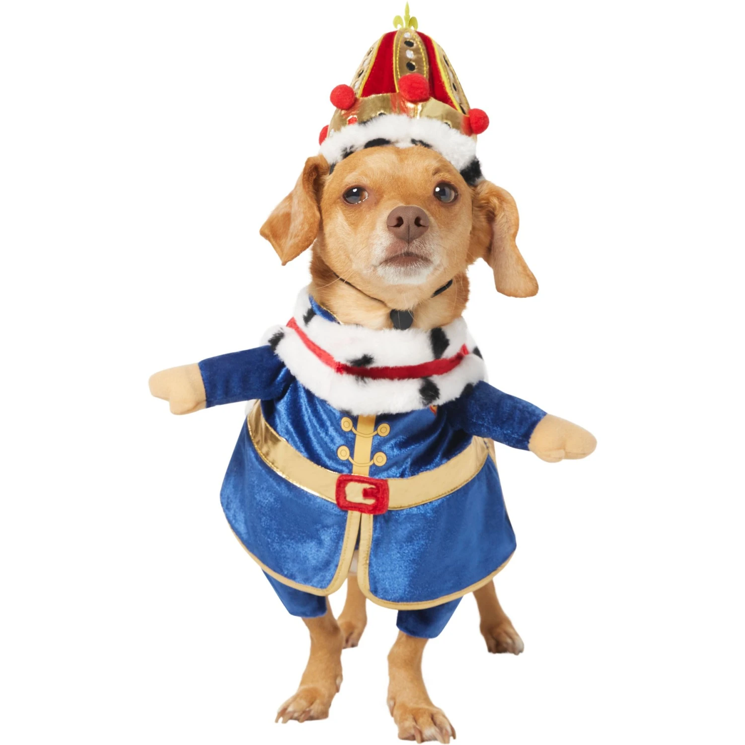 Frisco Front Walking Royal King Dog & Cat Costume 1 Frisco Front Walking Royal King Dog & Cat Costume