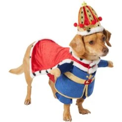 Frisco Front Walking Royal King Dog & Cat Costume 11 Frisco Front Walking Royal King Dog & Cat Costume -Paws Joy Outlet Store 335127 PT3. AC SS1800 V1658346228