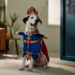 Frisco Front Walking Royal King Dog & Cat Costume 14 Frisco Front Walking Royal King Dog & Cat Costume -Paws Joy Outlet Store 335127 PT7. AC SS1800 V1659037728