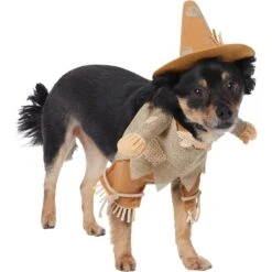 Frisco Front Walking Scarecrow Dog & Cat Costume -Paws Joy Outlet Store 335135 PT3. AC SS1800 V1658349680