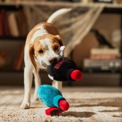 Frisco Halloween Elixirs Plush Squeaky Dog Toy -Paws Joy Outlet Store 344004 PT3. AC SS1800 V1689878498