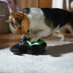 Frisco Halloween Bad Witch Round Plush Squeaky Dog Toy -Paws Joy Outlet Store 344006 PT3. AC SS1800 V1657657029