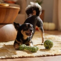 Frisco Halloween Glow In The Dark TPR Squeaky Bone & Ball Dog Toy -Paws Joy Outlet Store 344130 PT3. AC SS1800 V1657657042