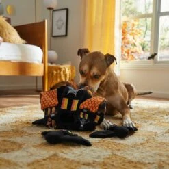 Frisco Halloween Haunted House Hide & Seek Puzzle Plush Squeaky Dog Toy -Paws Joy Outlet Store 344136 PT3. AC SS1800 V1657657042
