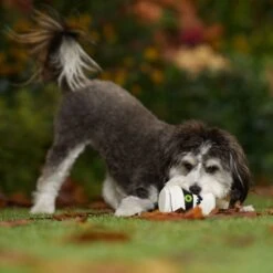 Frisco Halloween Mummy Latex Squeaky Dog Toy -Paws Joy Outlet Store 344140 PT3. AC SS1800 V1657657042