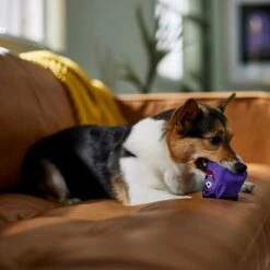 Frisco Halloween Vampire Latex Squeaky Dog Toy -Paws Joy Outlet Store 344166 PT3. AC SS1800 V1657657049