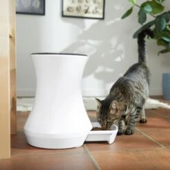 Frisco Automatic Cat & Dog Feeder, White, 13.5 Cup -Paws Joy Outlet Store 345285 PT6. AC SS1800 V1658219294
