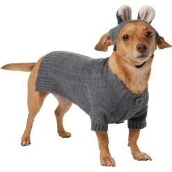 Frisco Bunny Hooded Dog & Cat Sweater -Paws Joy Outlet Store 353571 PT2. AC SS1800 V1659006936