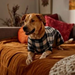 Frisco Plaid Dog & Cat Fleece Pajamas -Paws Joy Outlet Store 353755 PT6. AC SS1800 V1660749967