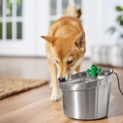 Frisco Stainless Steel Cactus & Leaf Dog & Cat Fountain -Paws Joy Outlet Store 355814 PT5. AC SS1800 V1665683869