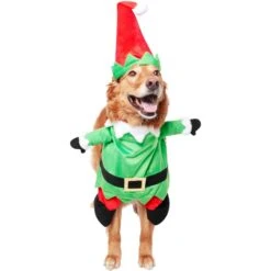 Frisco Front Walking Elf Dog & Cat Costume -Paws Joy Outlet Store 357956 PT3. AC SS1800 V1660760416