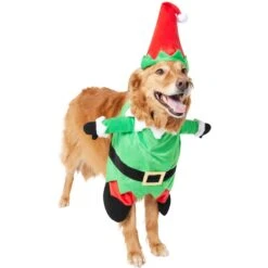 Frisco Front Walking Elf Dog & Cat Costume -Paws Joy Outlet Store 357956 PT4. AC SS1800 V1660757458