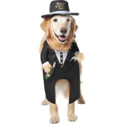 Frisco Front Walking New Years Tuxedo Dog & Cat Costume -Paws Joy Outlet Store 358028 PT3. AC SS1800 V1660765610