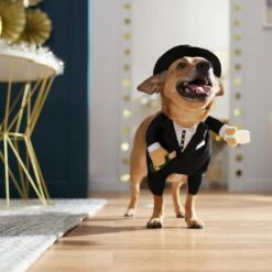 Frisco Front Walking New Years Tuxedo Dog & Cat Costume -Paws Joy Outlet Store 358028 PT7. AC SS1800 V1661799888