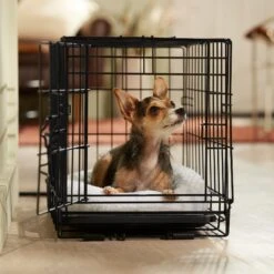 Frisco Adjustable Electrical Dog & Cat Heated Crate Mat With Timer -Paws Joy Outlet Store 358546 PT5. AC SS1800 V1662500981