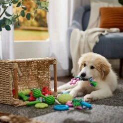 Frisco Small Breed Puppies Rope & TPR Variety Pack Puppy Toy -Paws Joy Outlet Store 358552 PT4. AC SS1800 V1669908588