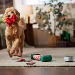 Frisco Holiday Gift Wrapping Set Plush Squeaky Dog Toy -Paws Joy Outlet Store 360968 PT3. AC SS1800 V1661874420