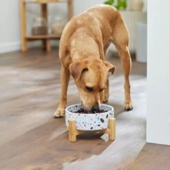 Frisco Elevated Terrazzo Non-skid Ceramic Bowl With Bamboo Stand 11 Frisco Elevated Terrazzo Non-skid Ceramic Bowl With Bamboo Stand -Paws Joy Outlet Store 363375 PT2. AC SS1800 V1657657266